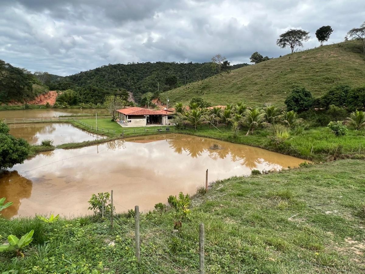 Sítios / Chácaras e propriedades rurais à venda