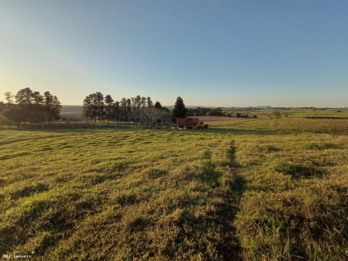 Stio para Venda em Saltinho, Jardim Torrezan