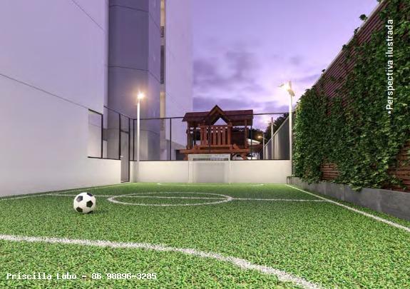 imagem-miniatura