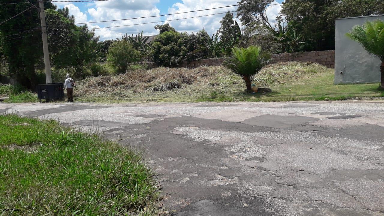 imagem-miniatura