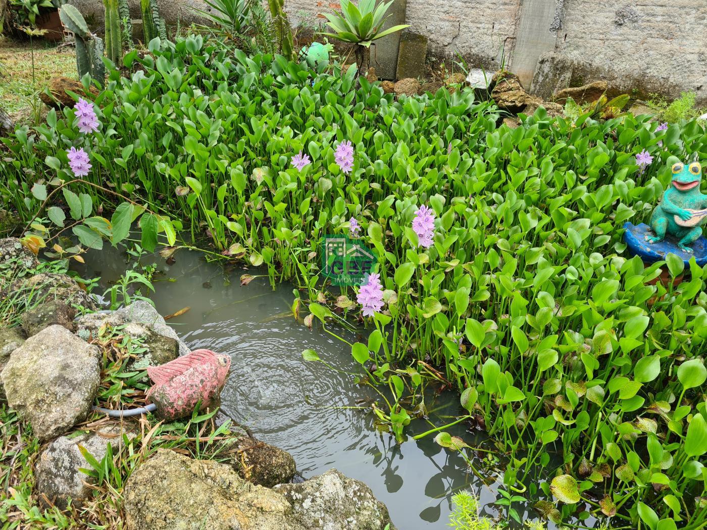 Chcara  venda em Mairipor, Residencial Cu Azul