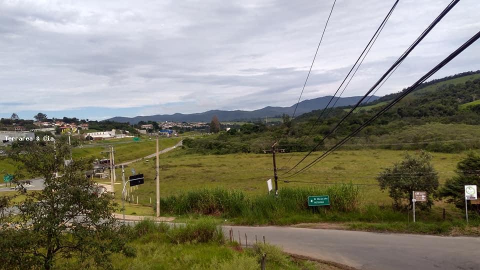 AREA INDUSTRIAL EM NAZARE PAULISTA