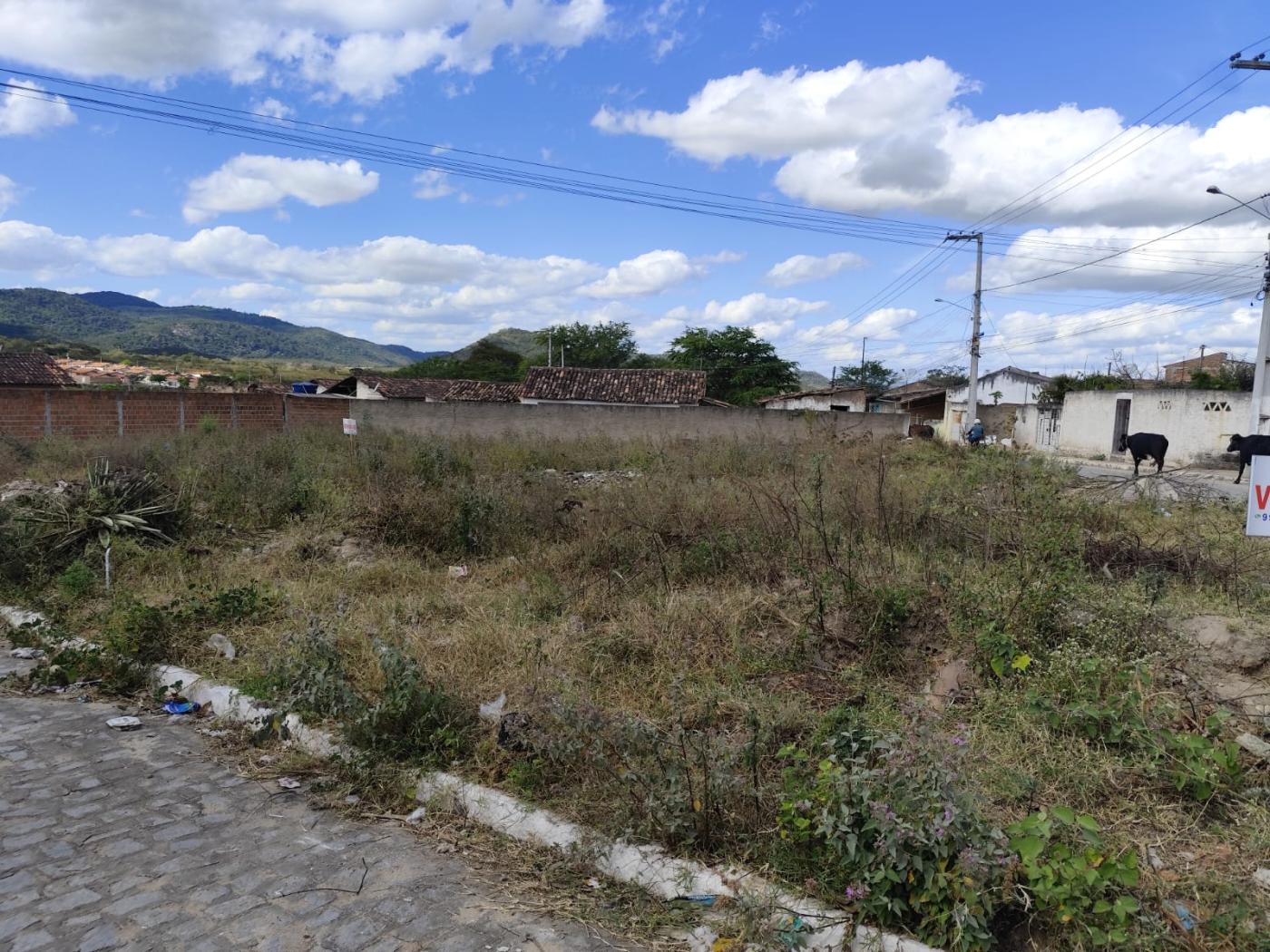 VISTA DO TERRENO