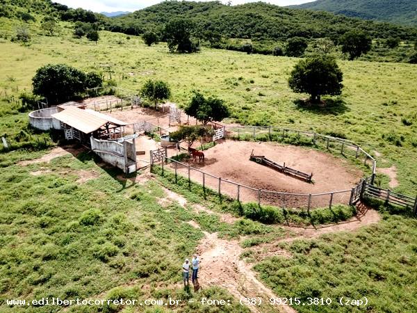 Fazenda para Venda em Porteirinha, rea Rural - Lagoa Grande