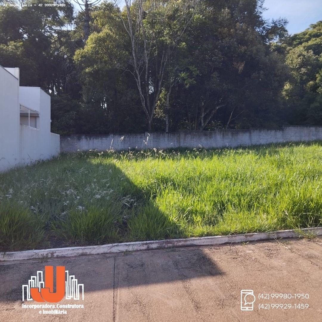 imagem-miniatura