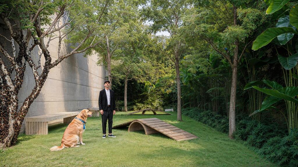 Pet place