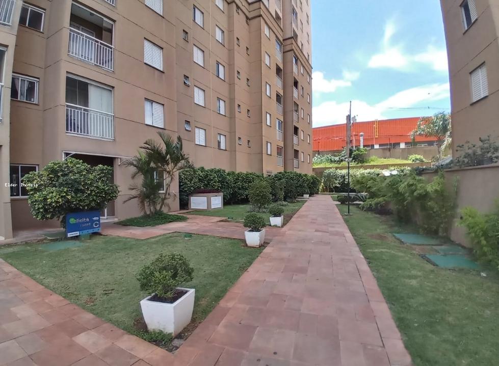 imagem-miniatura