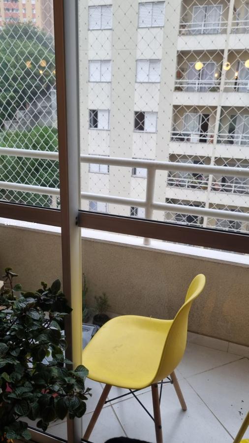 imagem-miniatura