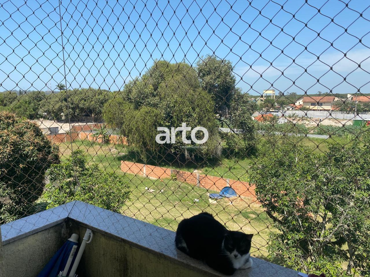 imagem-miniatura