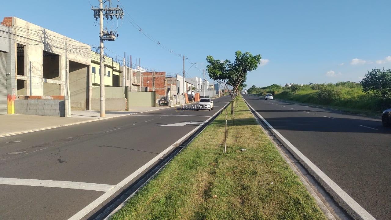 imagem-miniatura