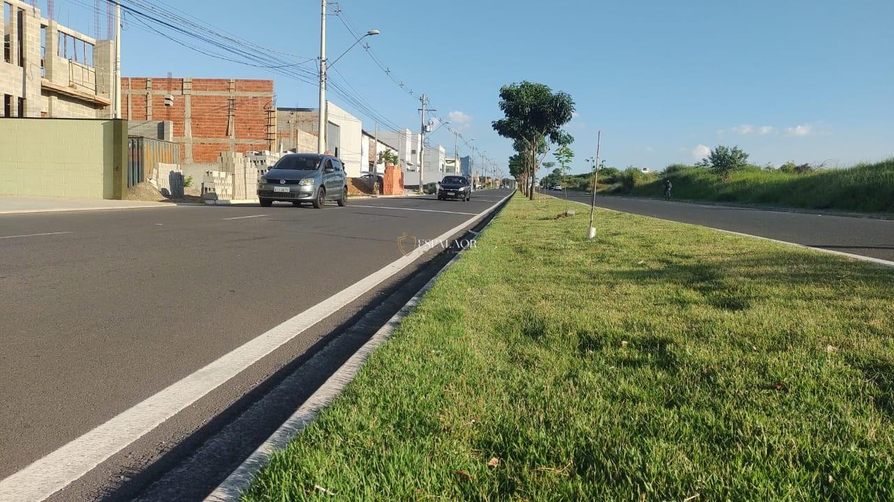imagem-miniatura