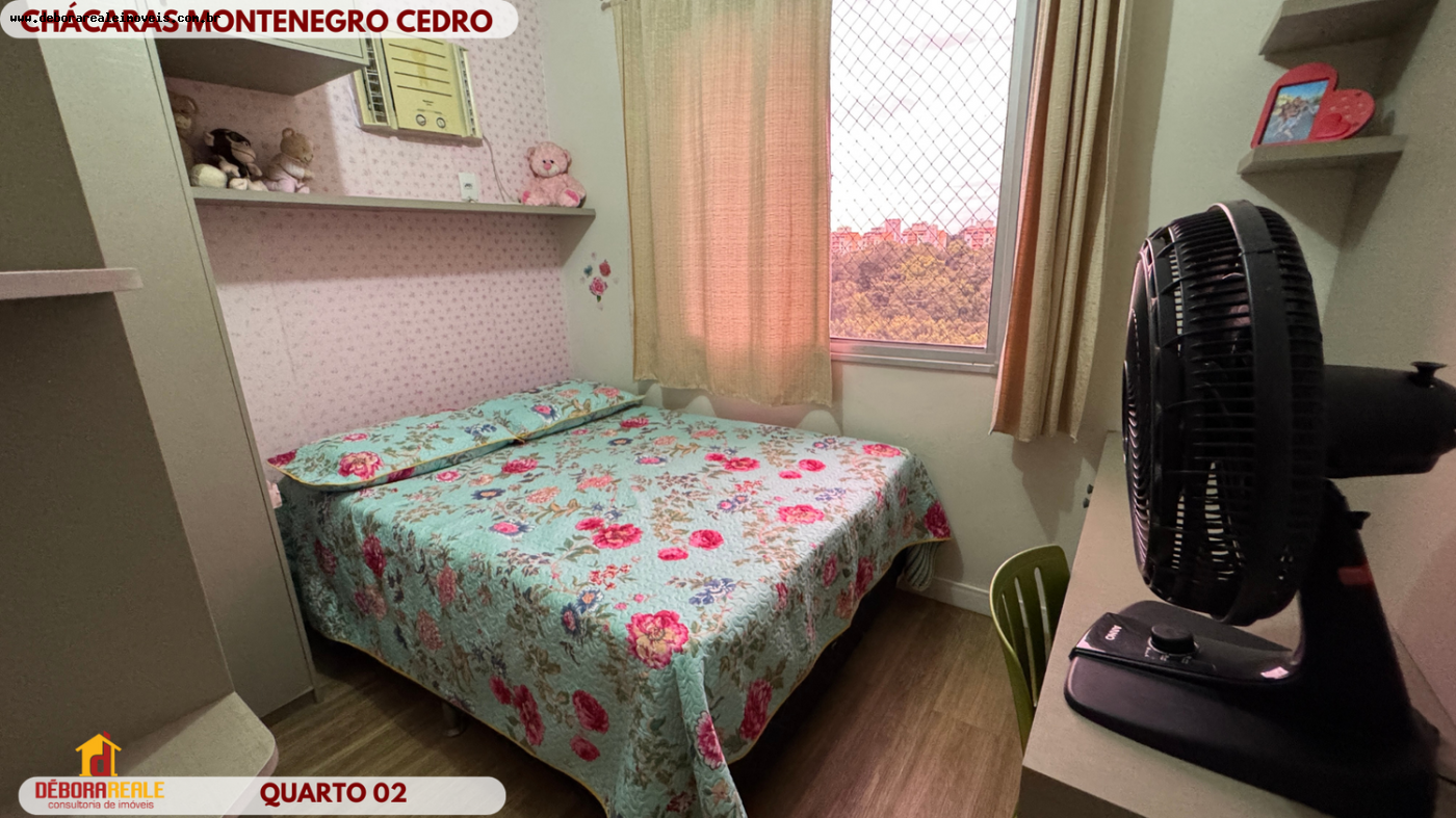 imagem-miniatura