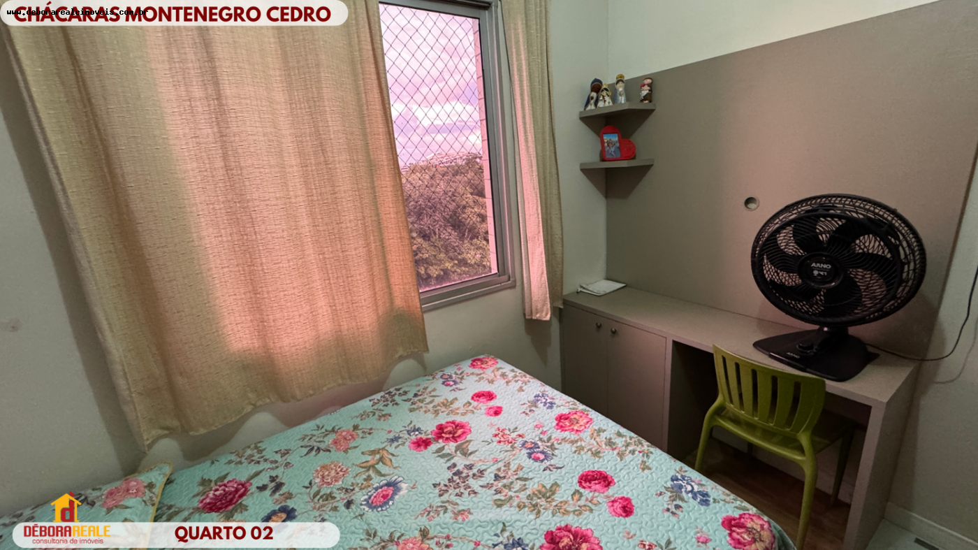 imagem-miniatura