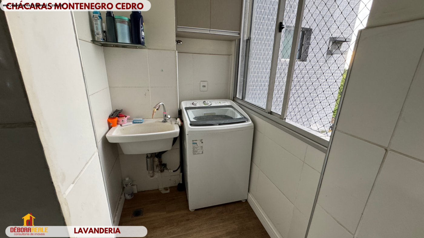 imagem-miniatura
