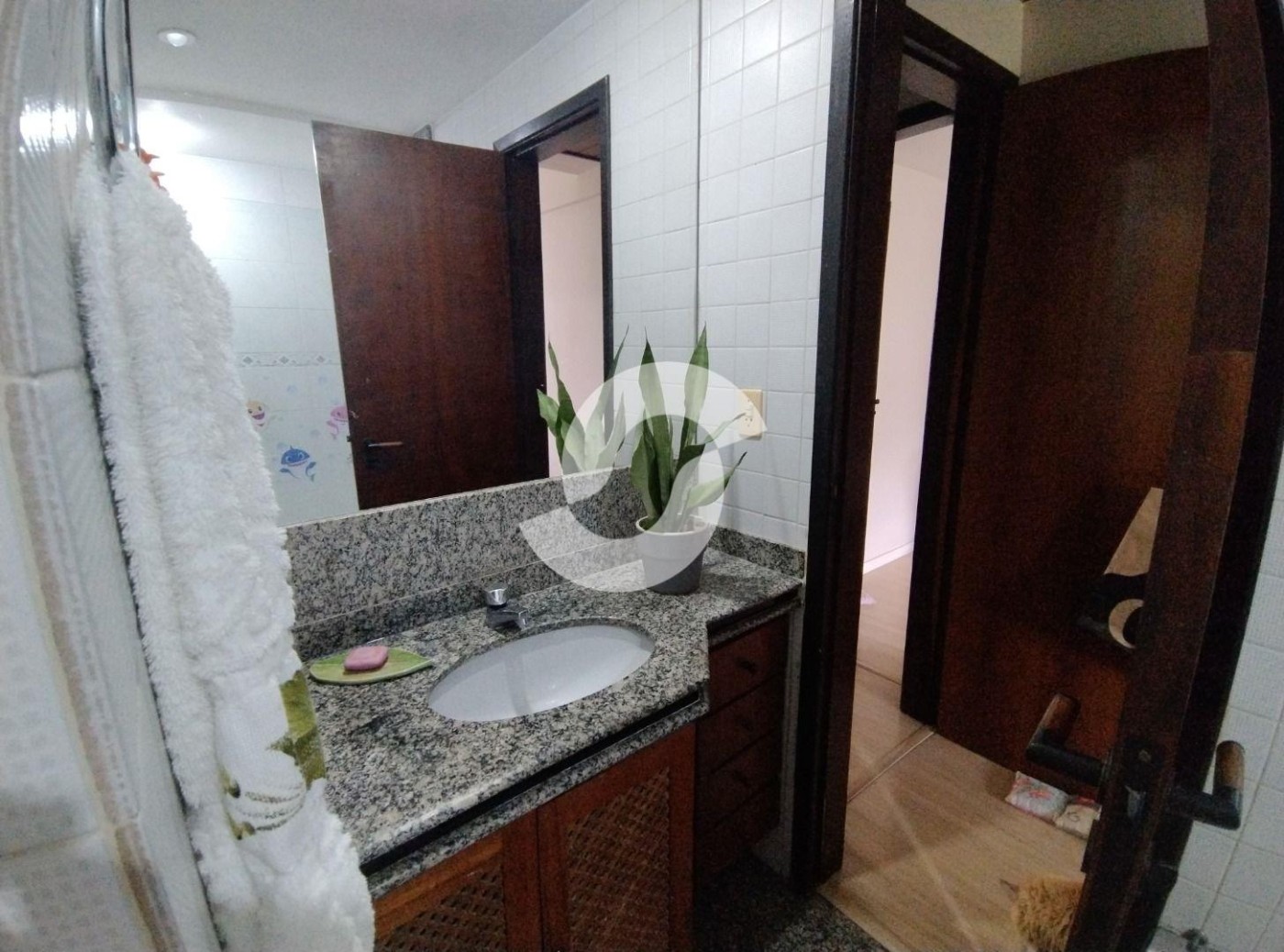 imagem-miniatura