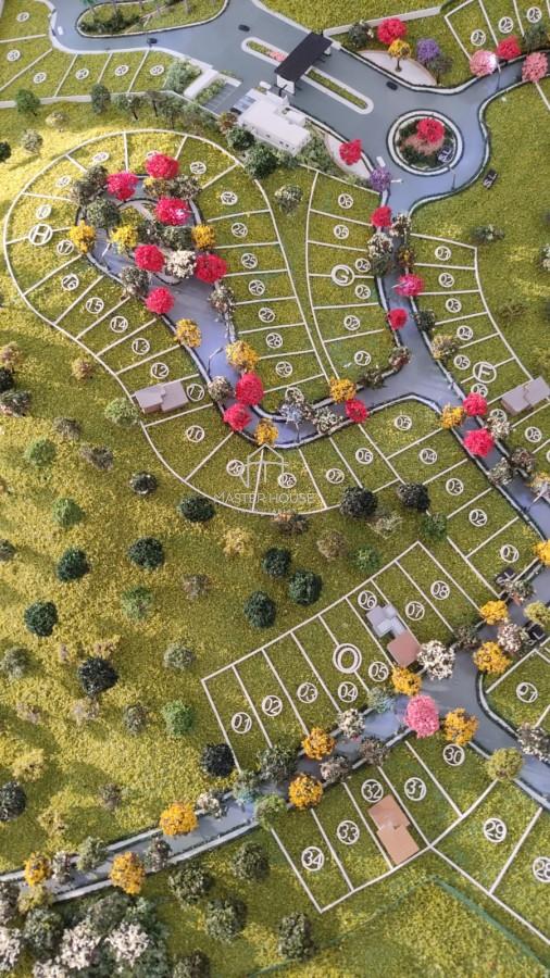 imagem-miniatura