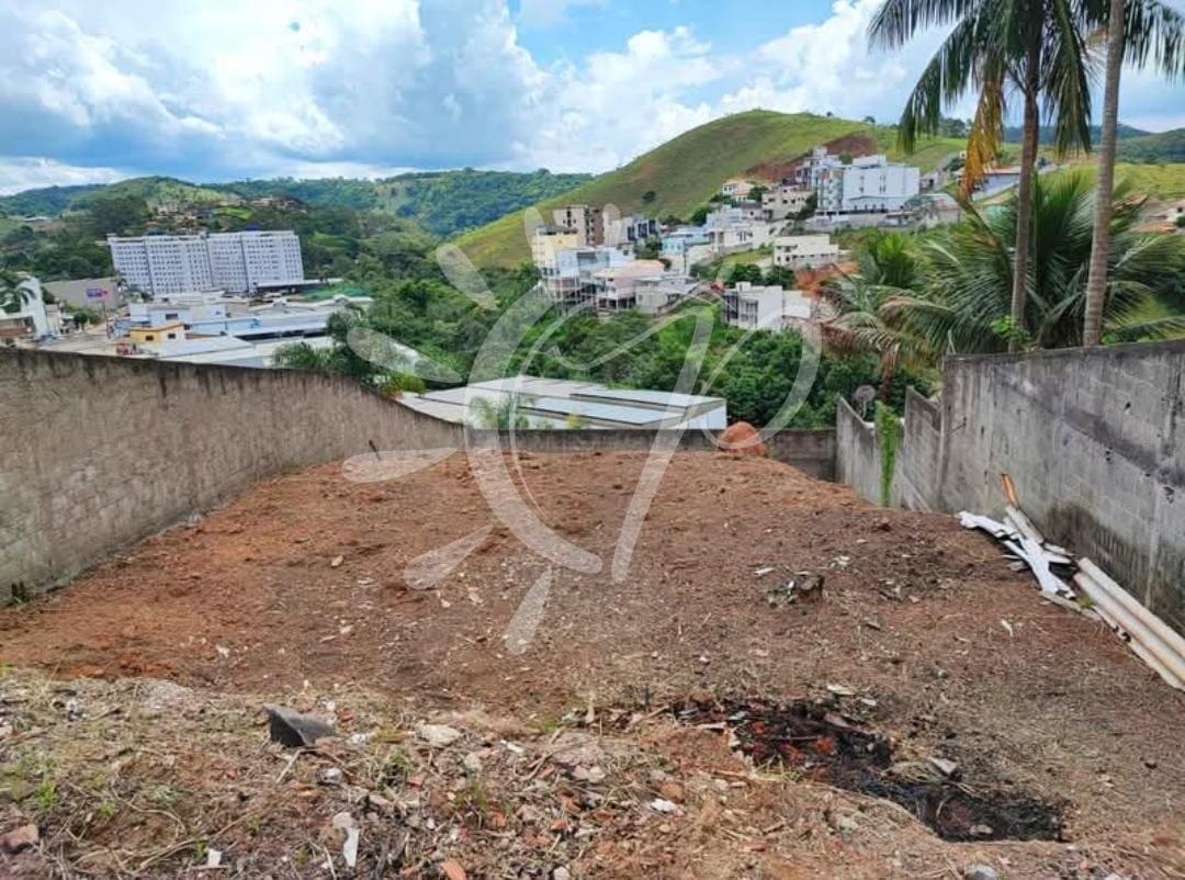 imagem-miniatura