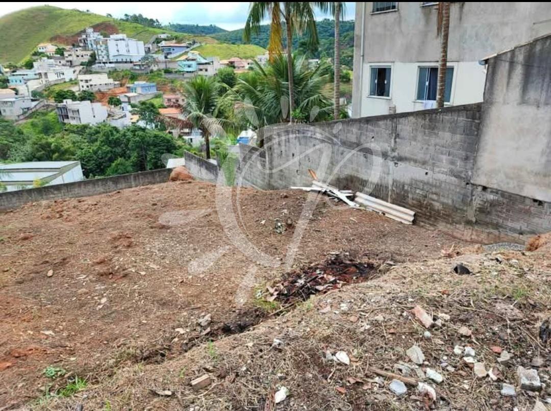 imagem-miniatura