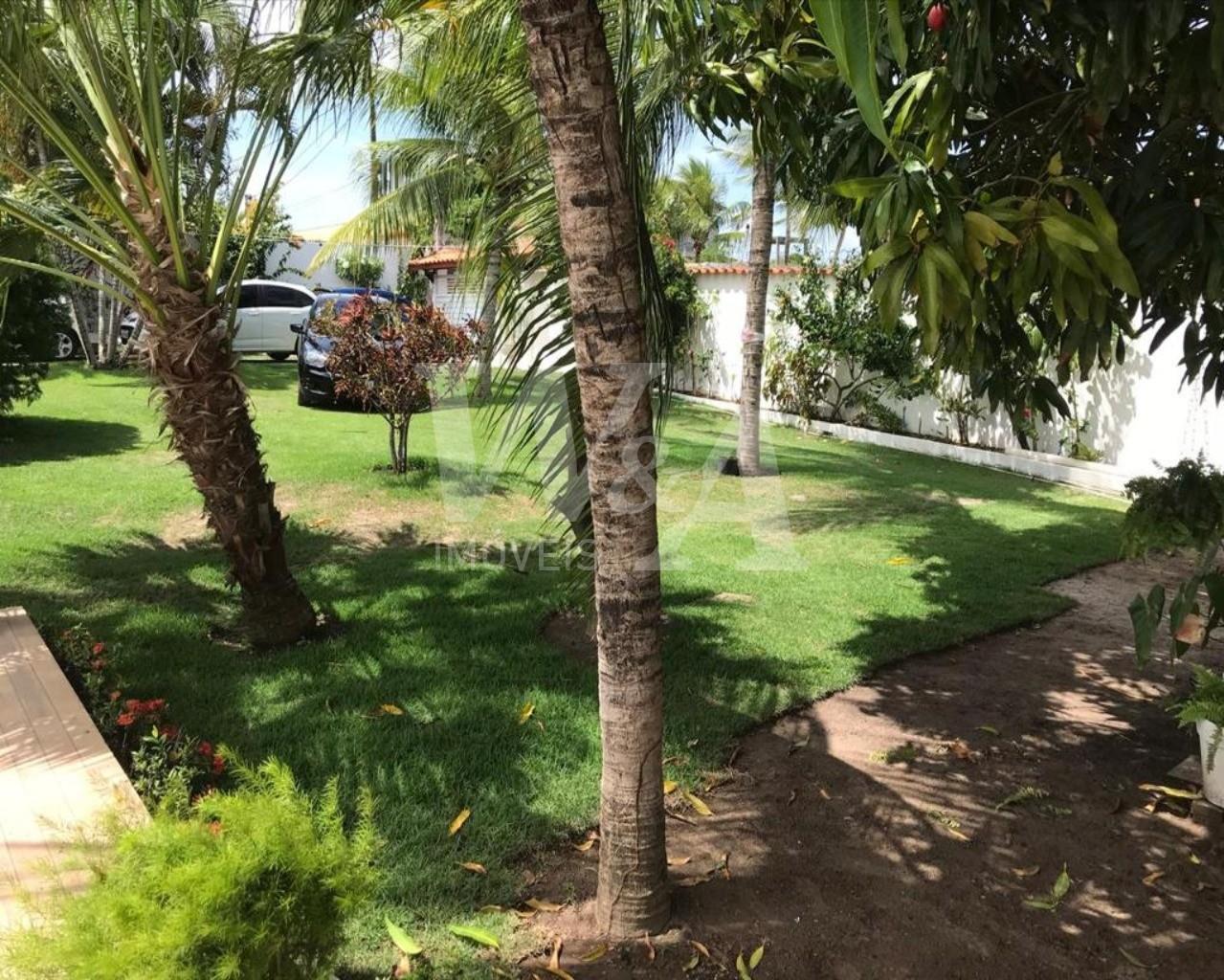 Foto 04