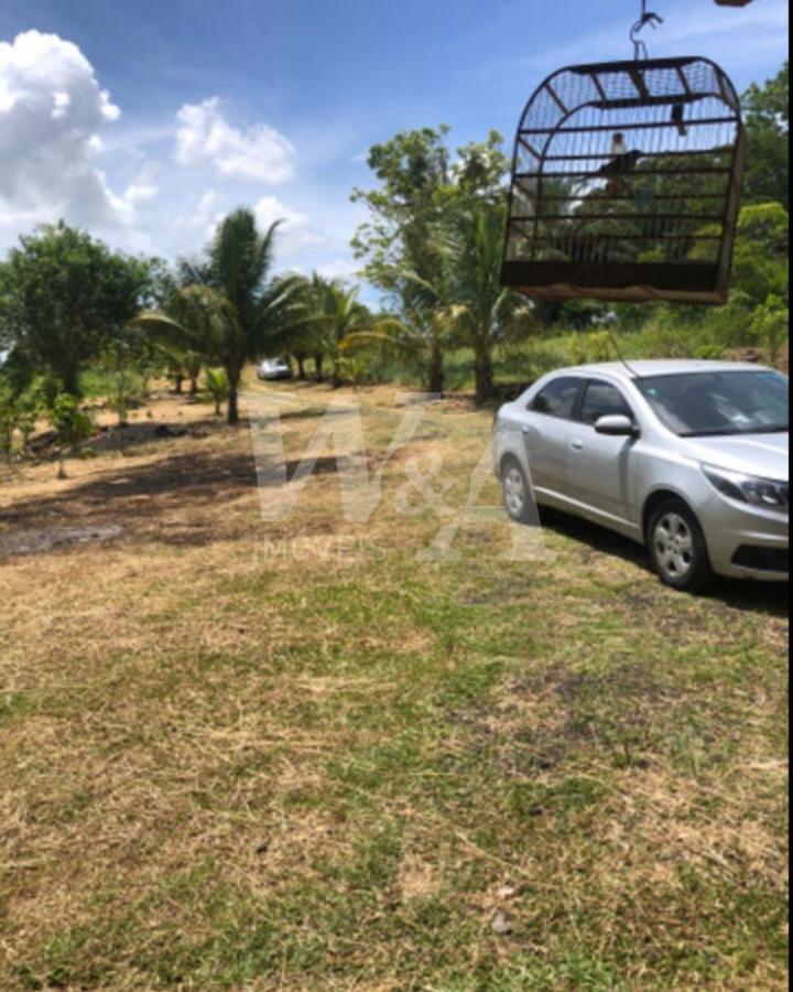 Foto 05