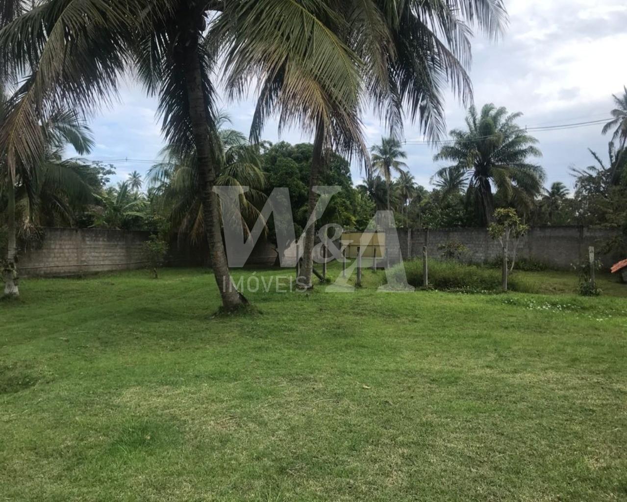 Foto 03