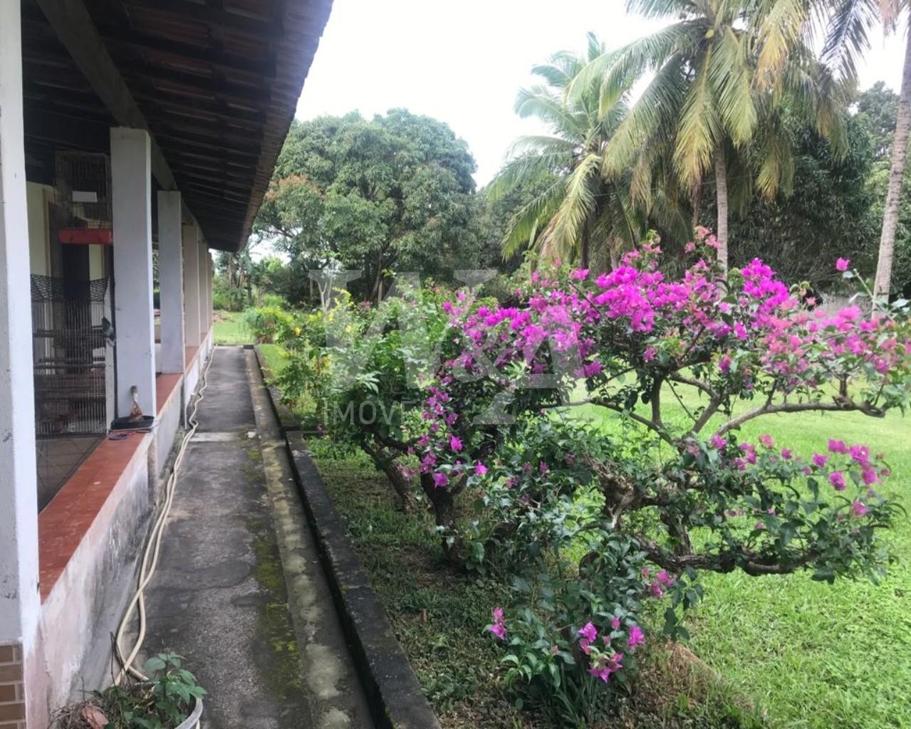 Foto 07