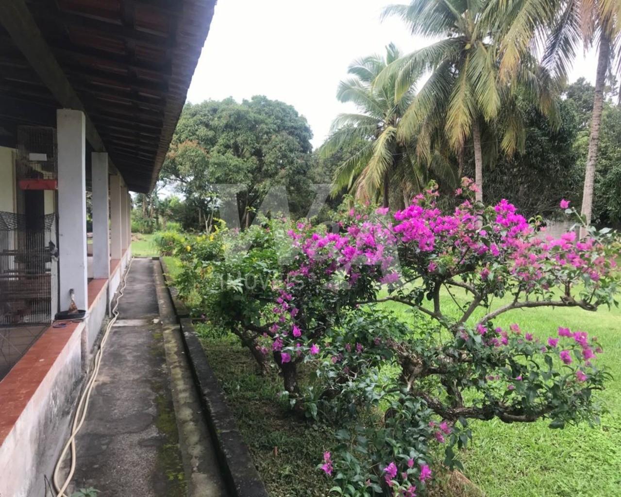 Foto 05