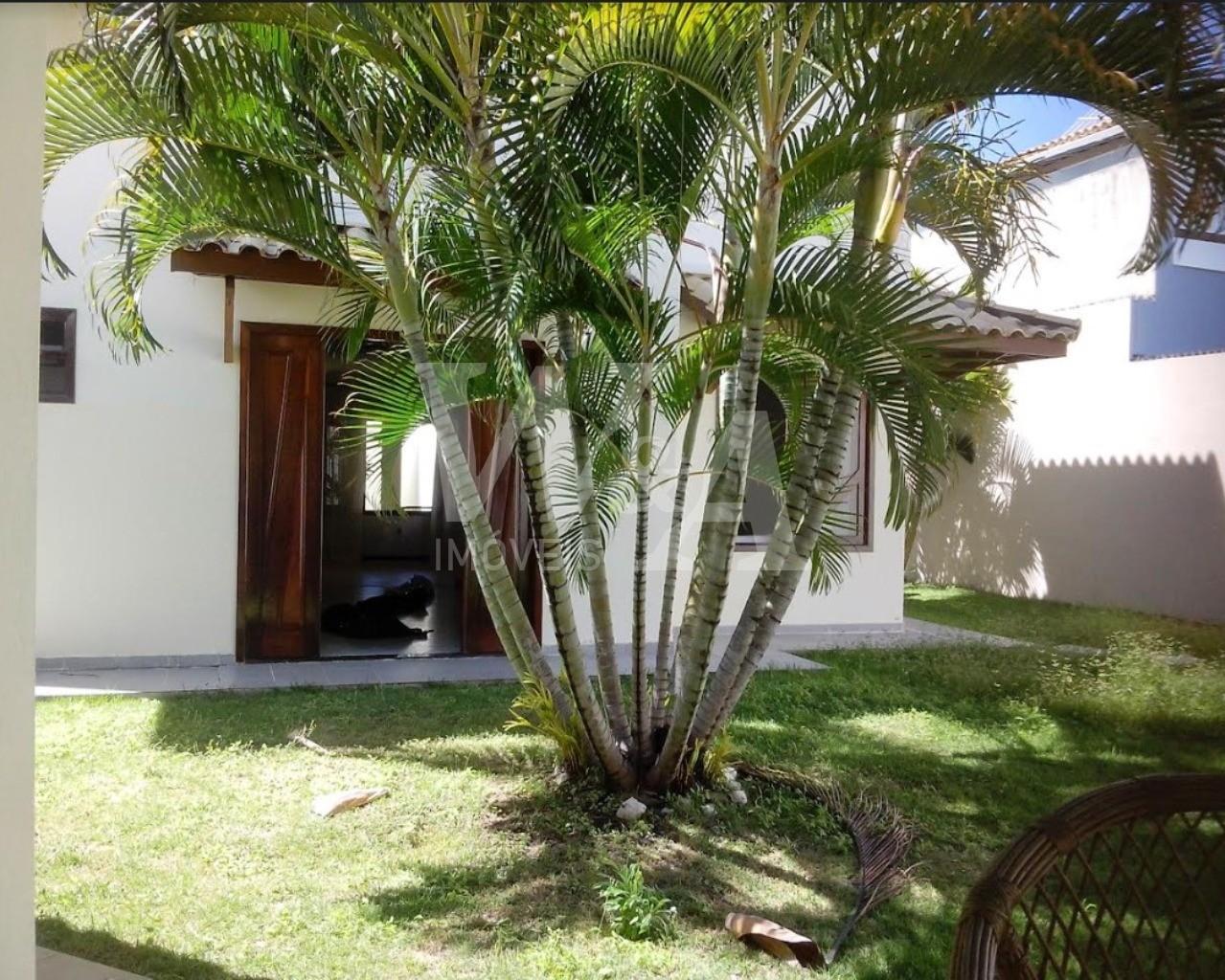 Foto 02