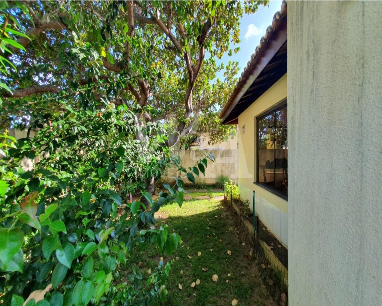 Foto 09