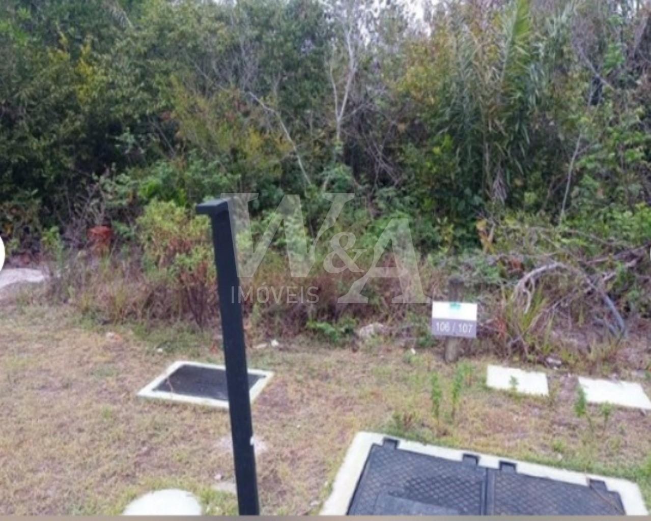 Foto 05