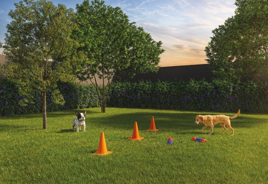 Pet place