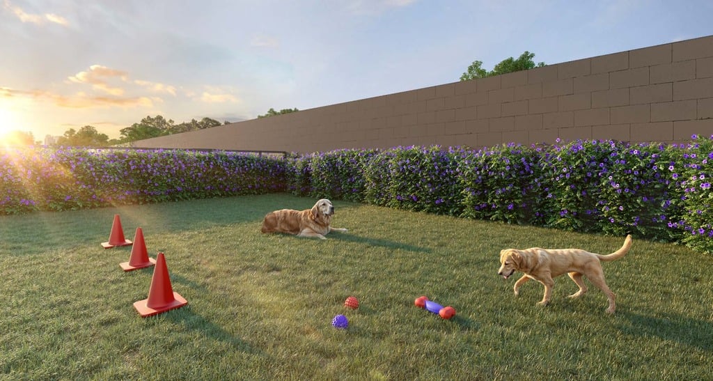 Pet place