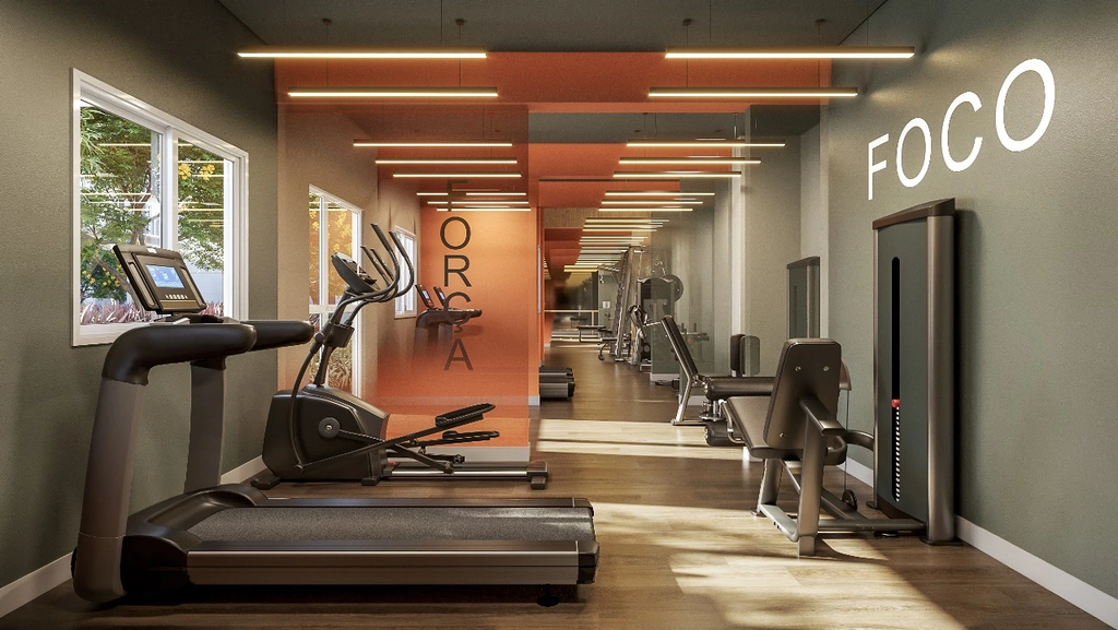 Fitness
