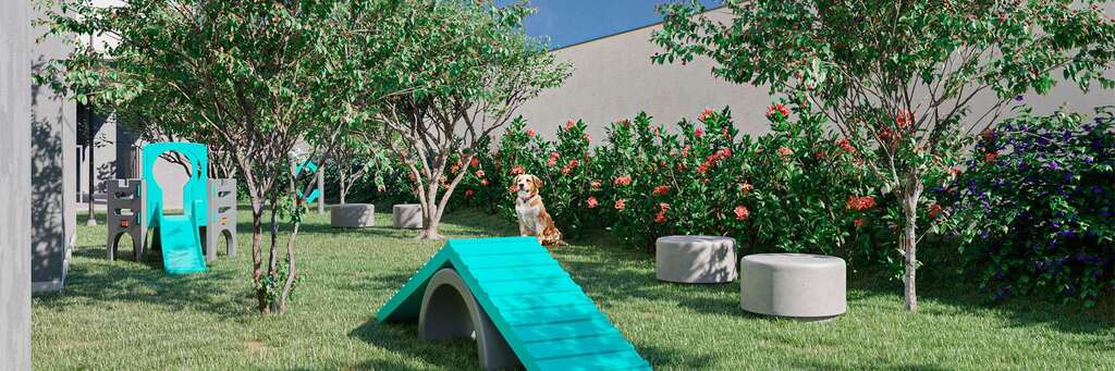 Pet place