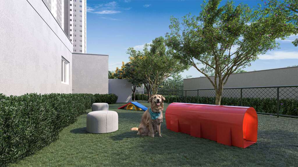 Pet place