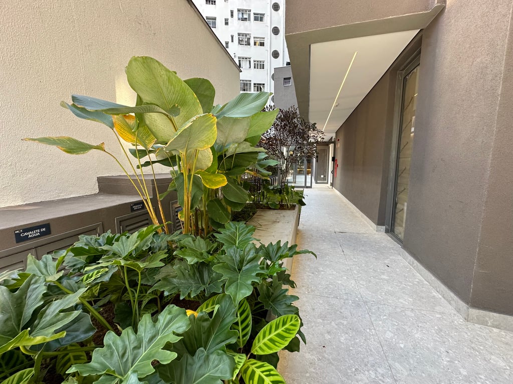 Acesso