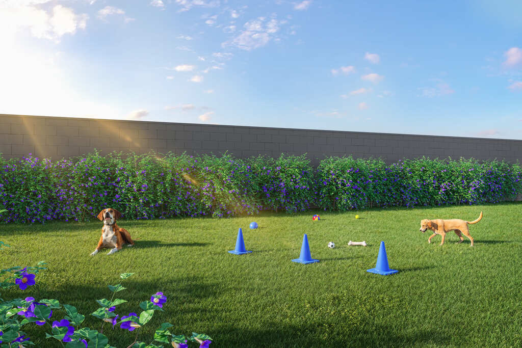 Pet place