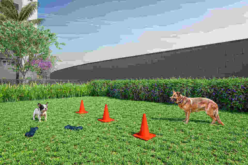 Pet place