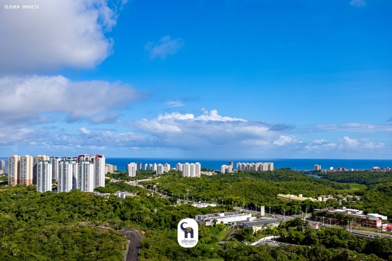 imagem-miniatura