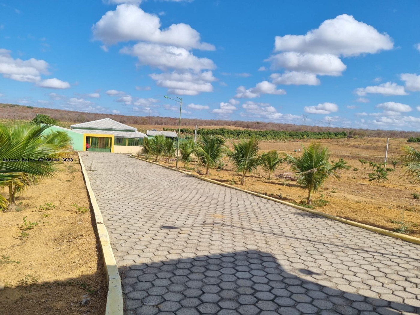 Fazenda para Venda - Canto do Buriti, Zona Rural