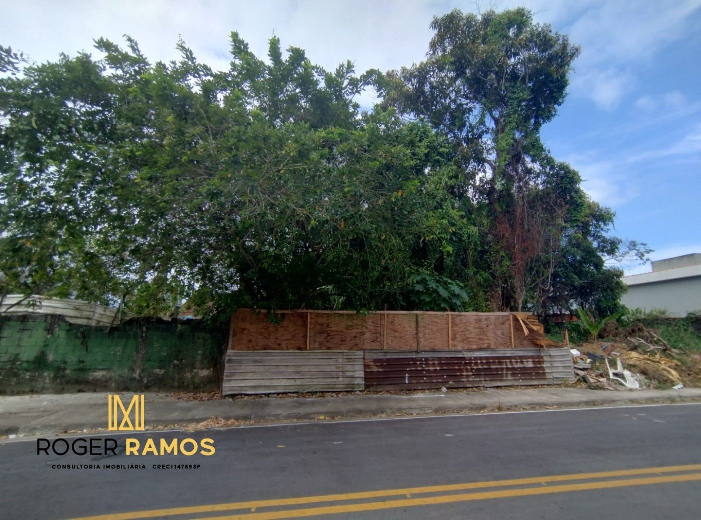 imagem-miniatura