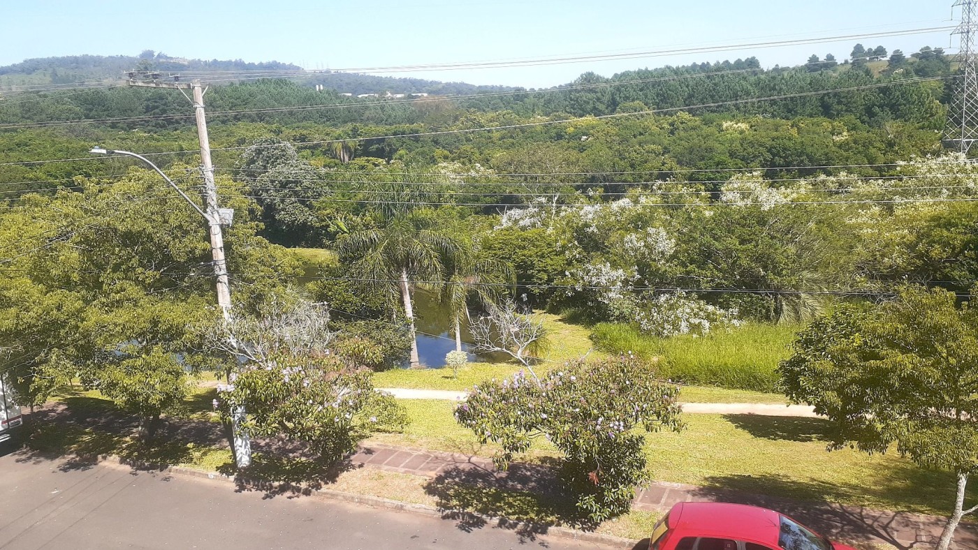 imagem-miniatura