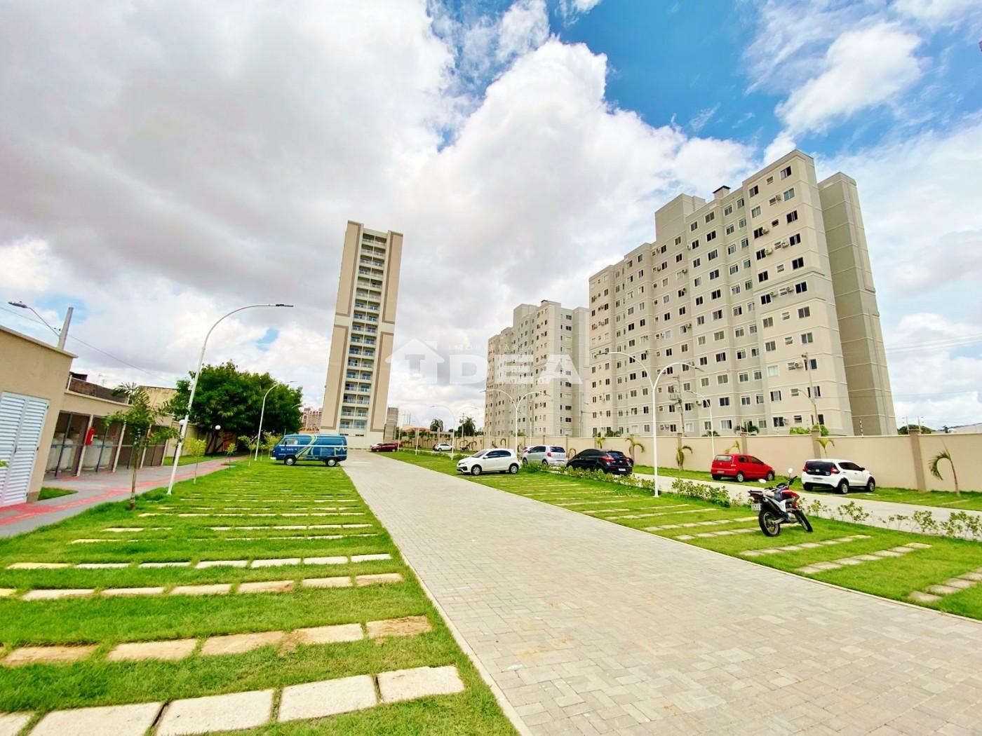imagem-miniatura