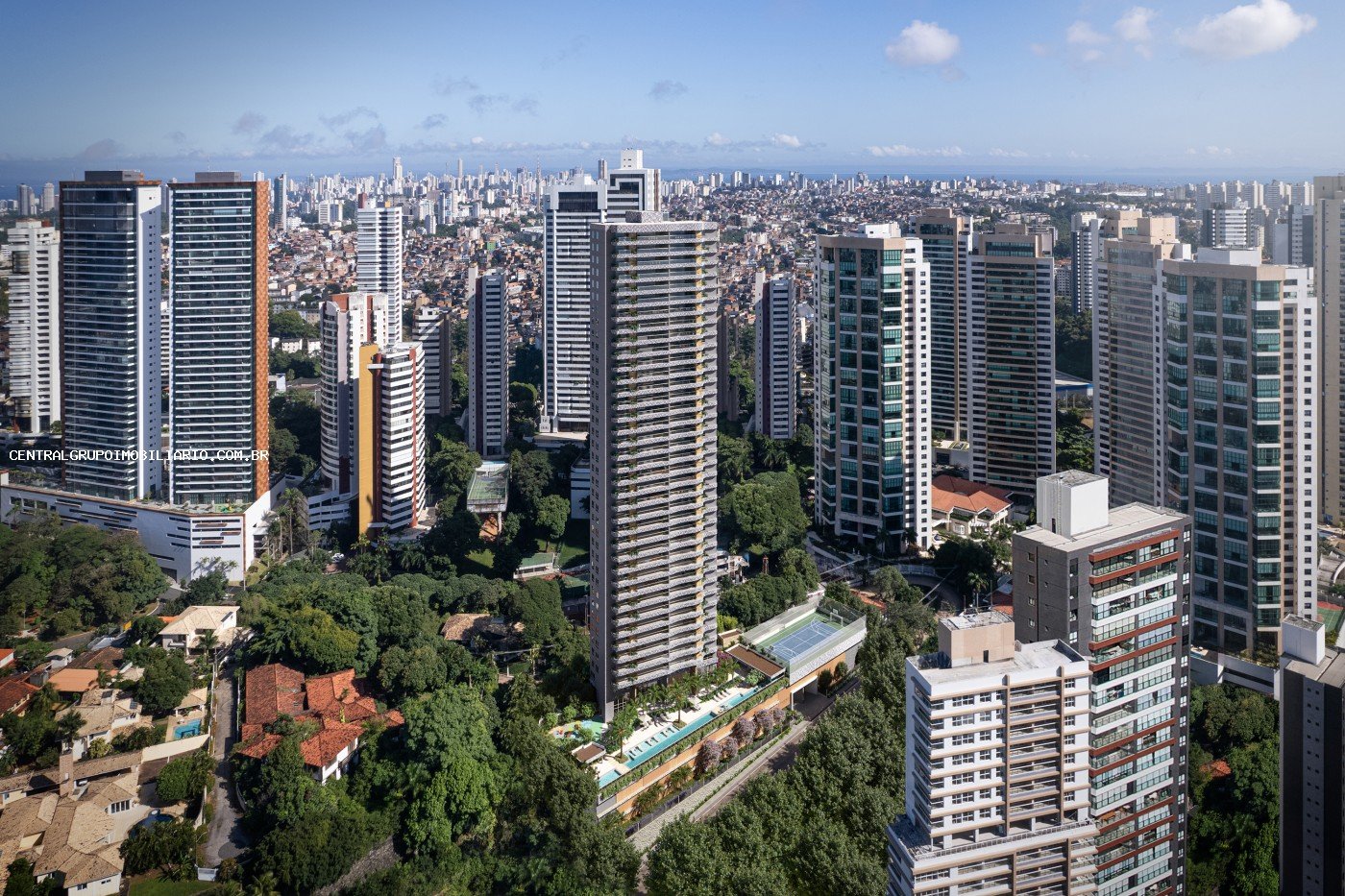 imagem-miniatura