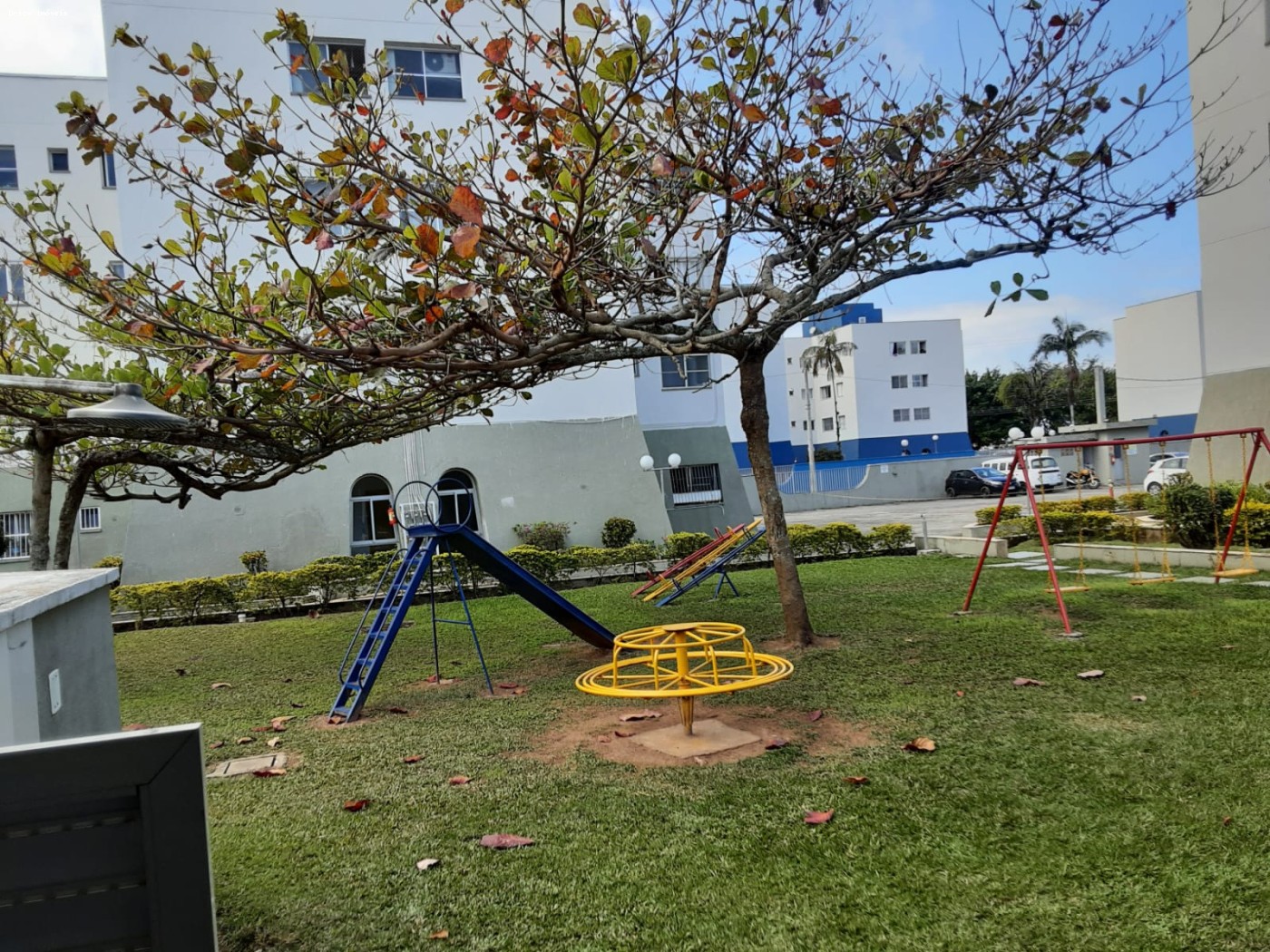 imagem-miniatura