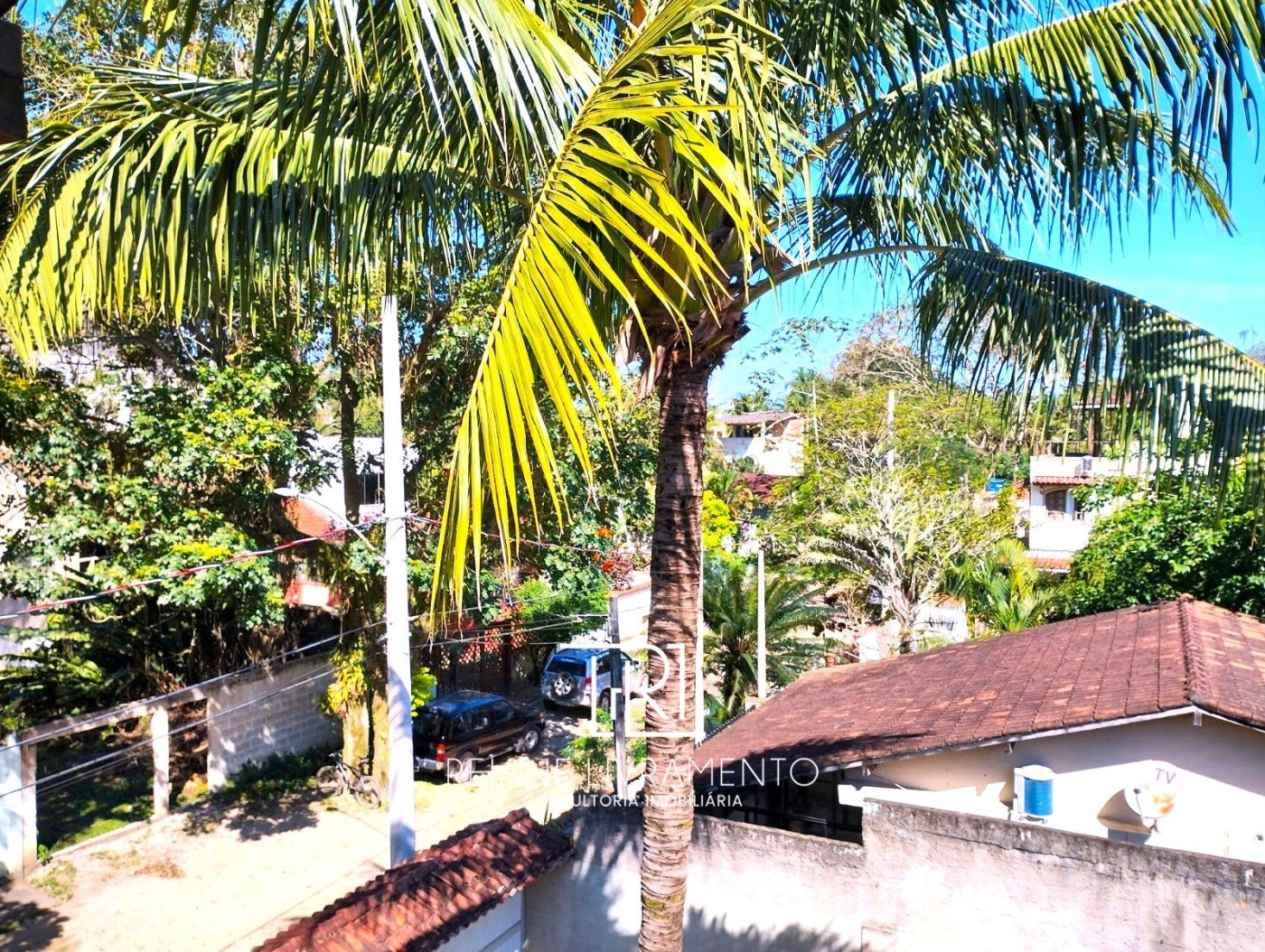 imagem-miniatura