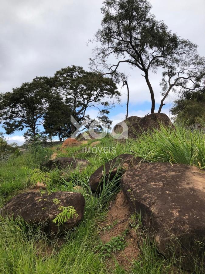 imagem-miniatura