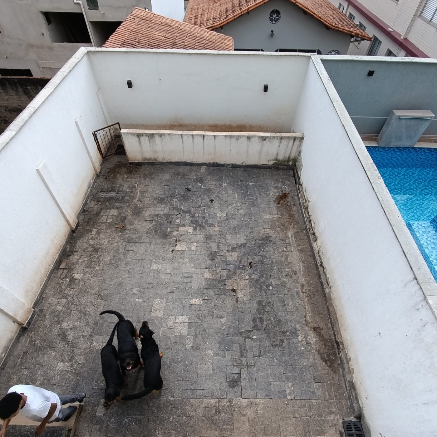 imagem-miniatura