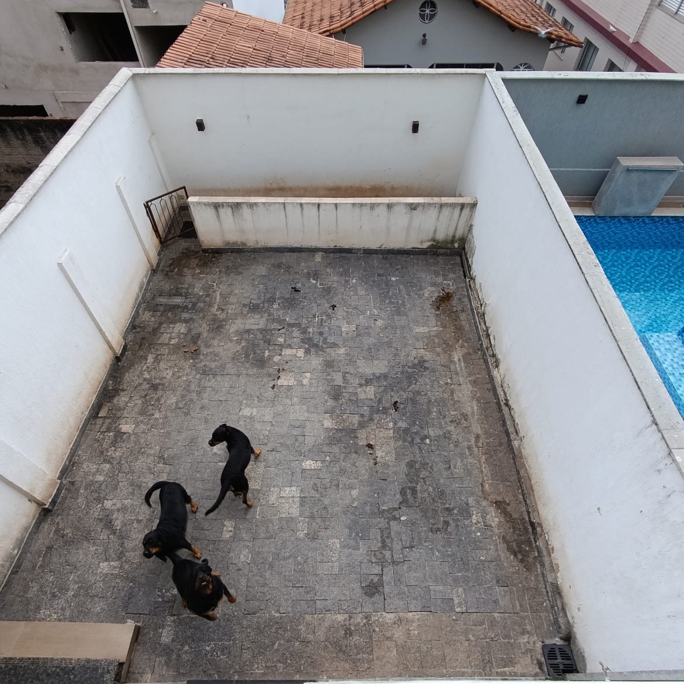 imagem-miniatura