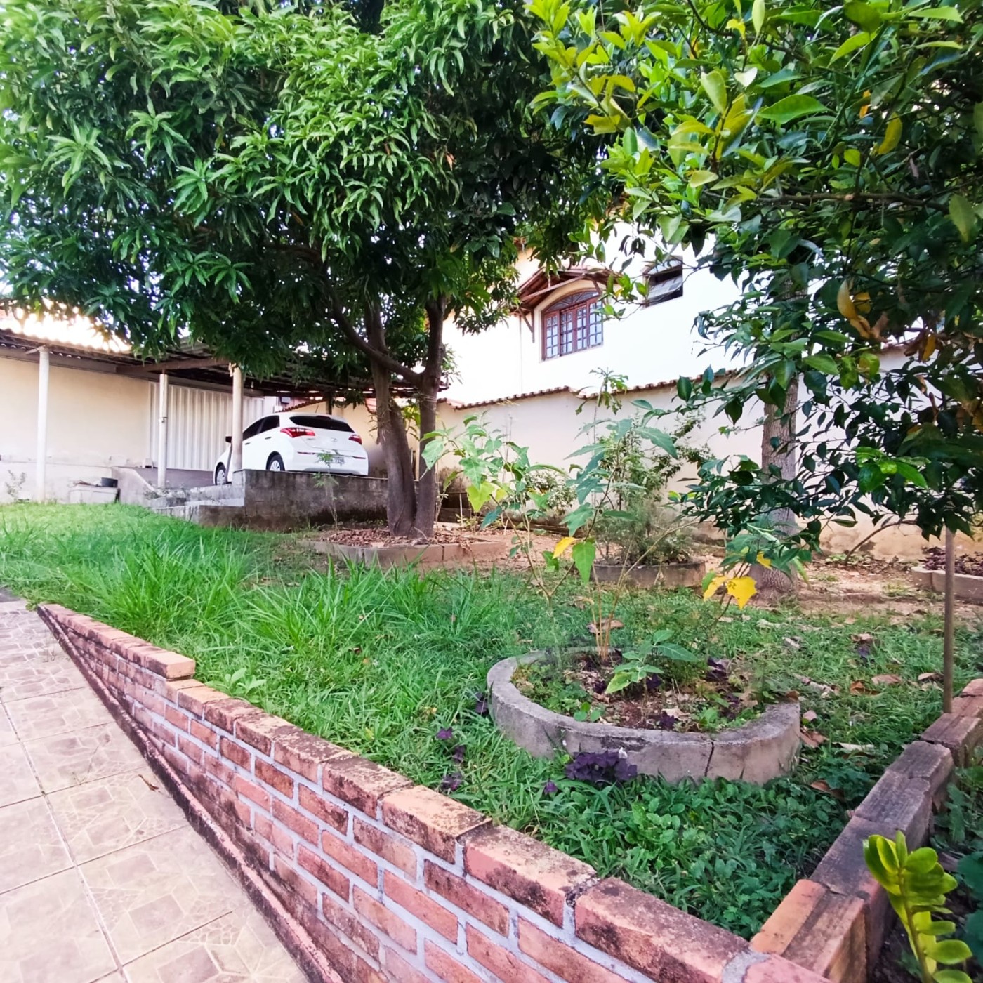 imagem-miniatura